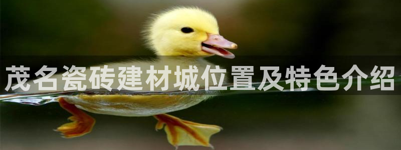 杏鑫平台登录注册