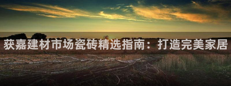 杏鑫平台代理注册登录不了怎么办呀视频