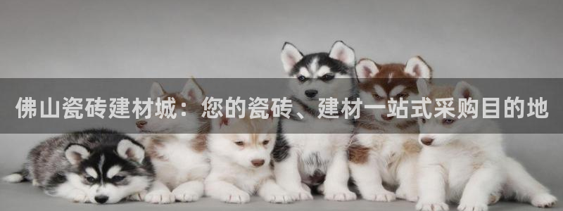 杏鑫平台野马联盟