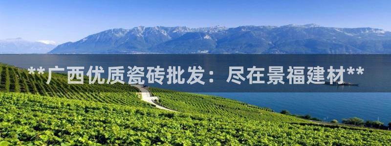 杏鑫平台代理注册流程图