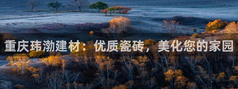 杏鑫官网最新信息新闻