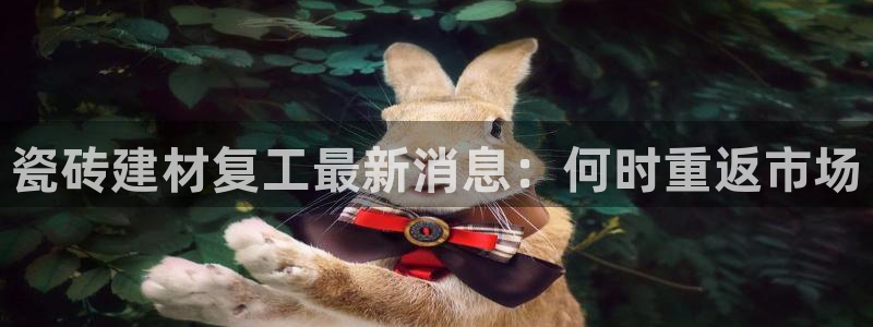 杏鑫平台代理注册登录不了怎么办呀