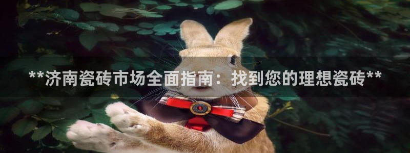 杏鑫娱乐开发团队