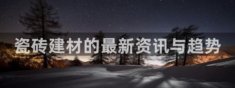 杏鑫主管