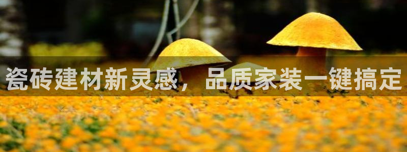杏鑫官方平台怎么样啊安全吗
