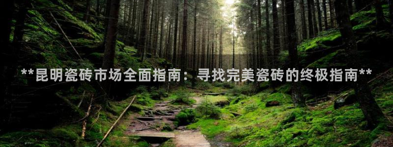 杏鑫平台注册登录