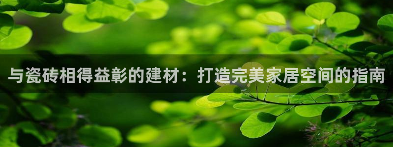 杏鑫平台注册网址是什么