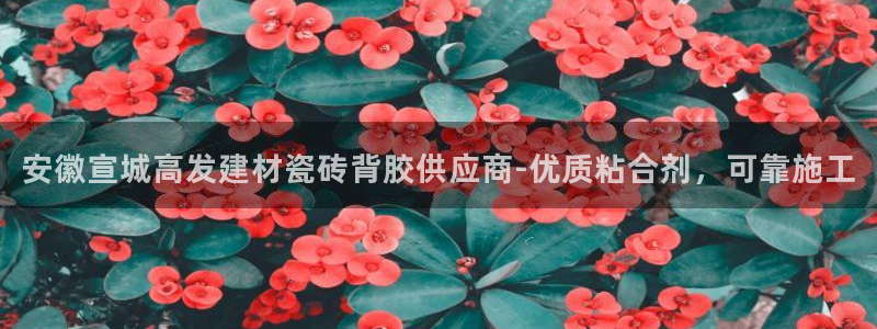 杏鑫平台登录地址是什么