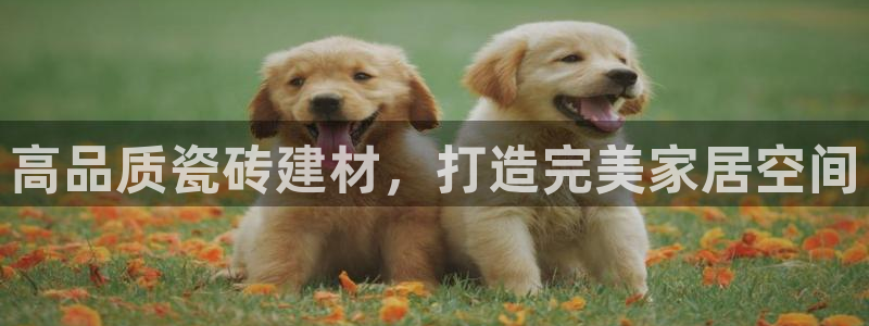 杏鑫娱乐怎么样