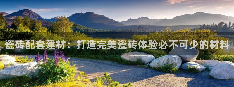 杏鑫平台待遇