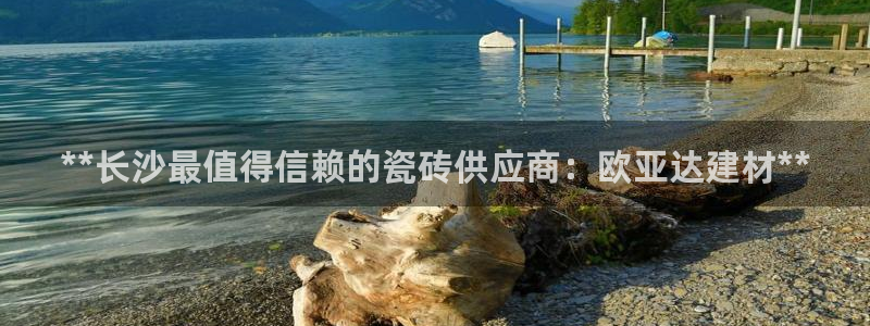 杏鑫注册