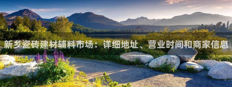 杏鑫平台代理注册流程