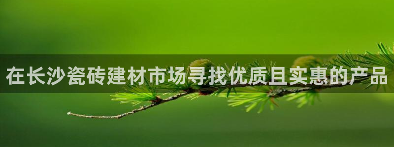 杏鑫手机客户端