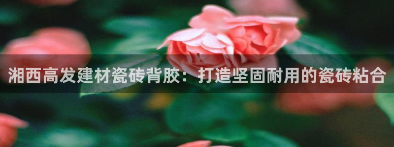 杏鑫平台平台娱乐怎么样