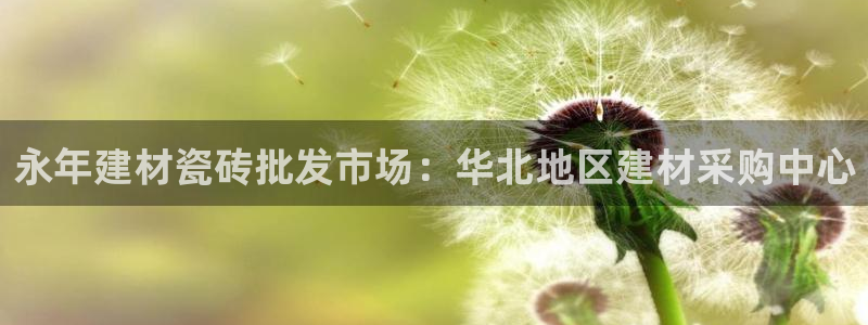 杏鑫平台代理怎么做赚钱