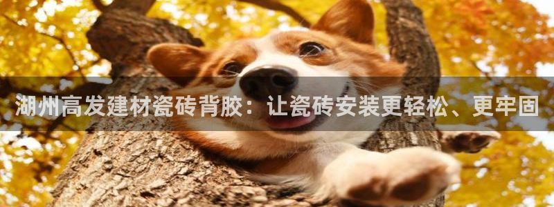 杏鑫注册登录网址是什么