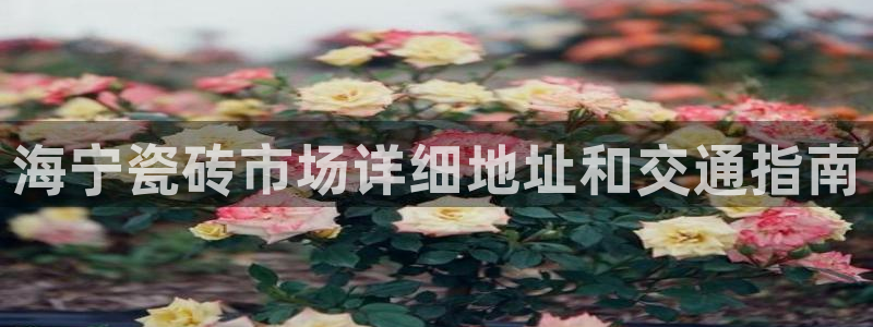 杏鑫平台怎么样黑钱吗知乎