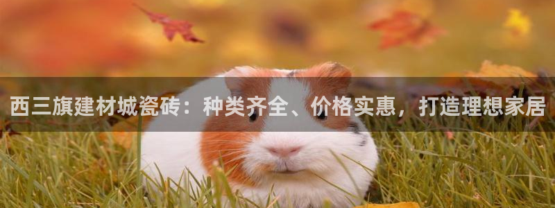 杏鑫官网注册账号怎么注册不了