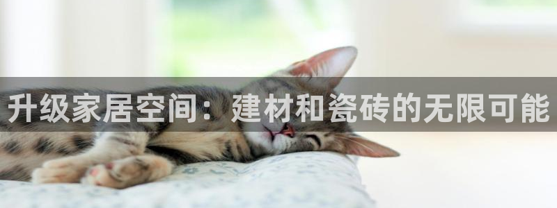 杏鑫平台直属哪个公司