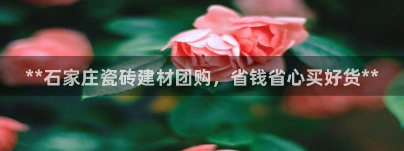 杏鑫娱乐客服