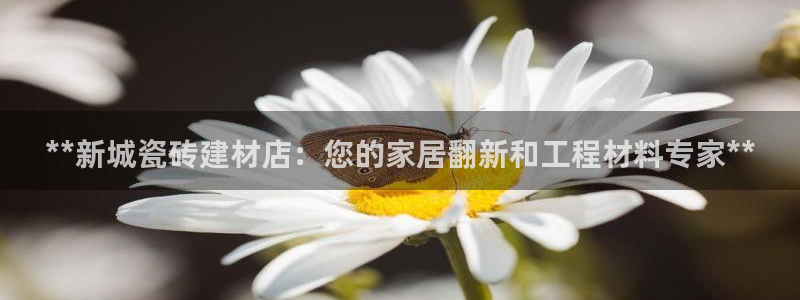 杏鑫娱乐是合法的吗?