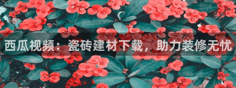 杏鑫平台登录注册