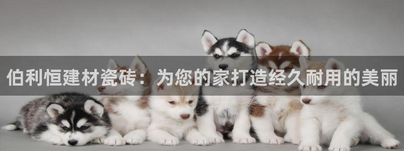 杏鑫平台招商电话号码是多少