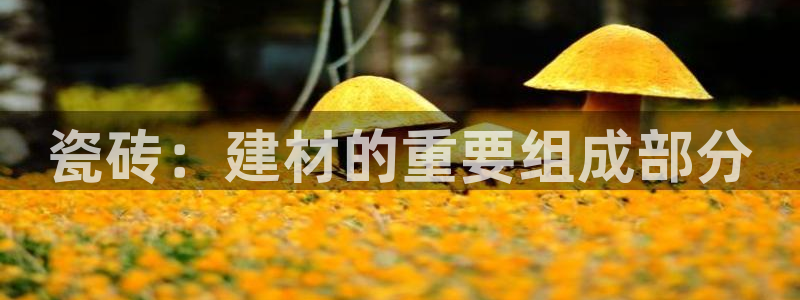 杏鑫官网注册账号是什么