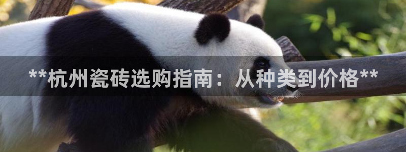 杏鑫官网注册账号是什么样的