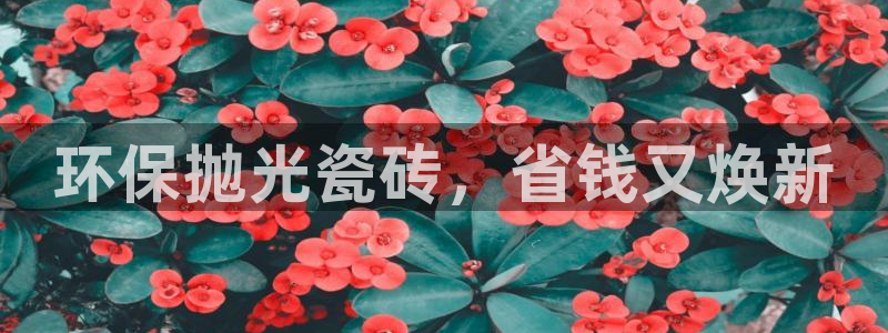 杏鑫娱乐客服