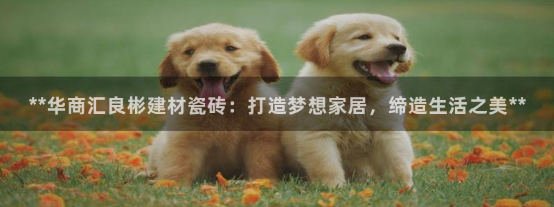 杏鑫官方平台怎么样可靠吗