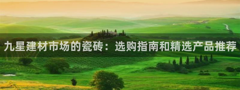 杏鑫平台代理注册流程视频