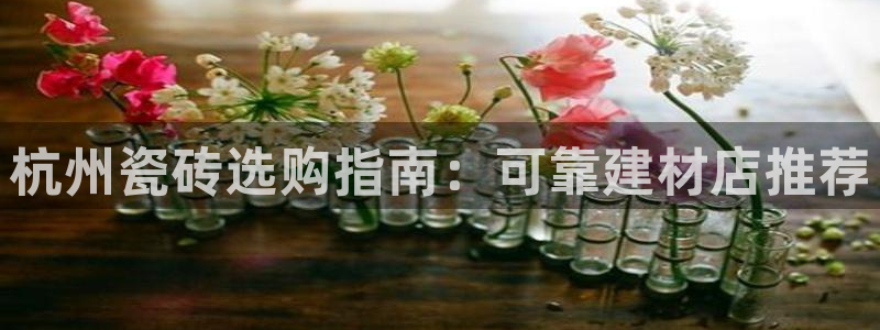 杏鑫官网注册账号是什么意思