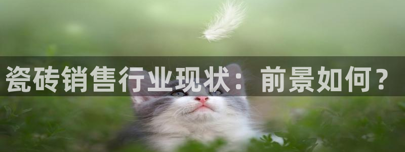 杏鑫娱乐测速