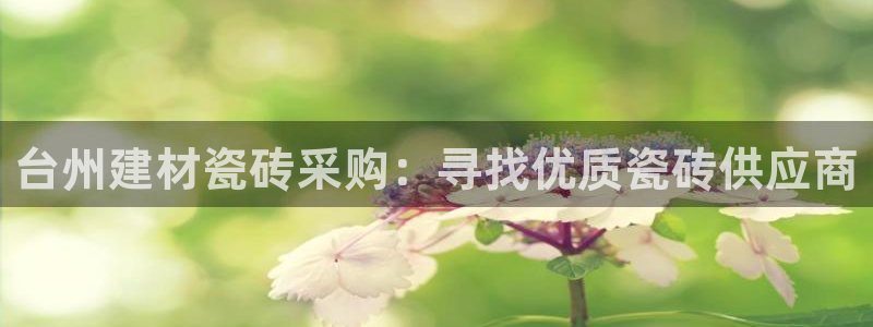 杏鑫平台代理注册多少钱一年