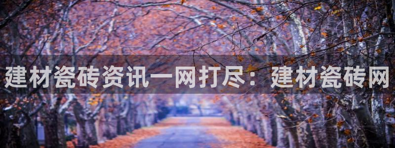 杏鑫平台注册网址是什么