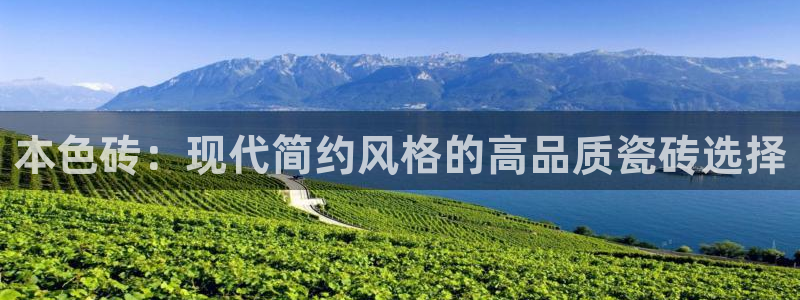 杏鑫平台号7O777