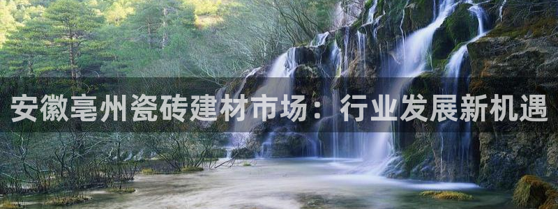 杏鑫平台怎么样知乎