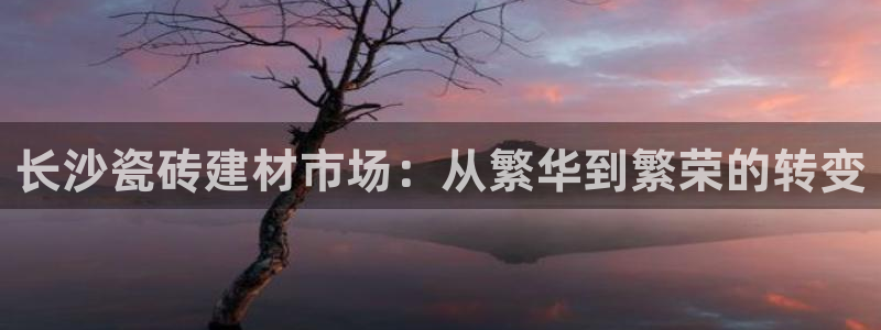 杏鑫官网注册账号密码忘了