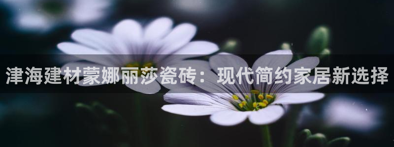 杏鑫平台是黑平台吗知乎