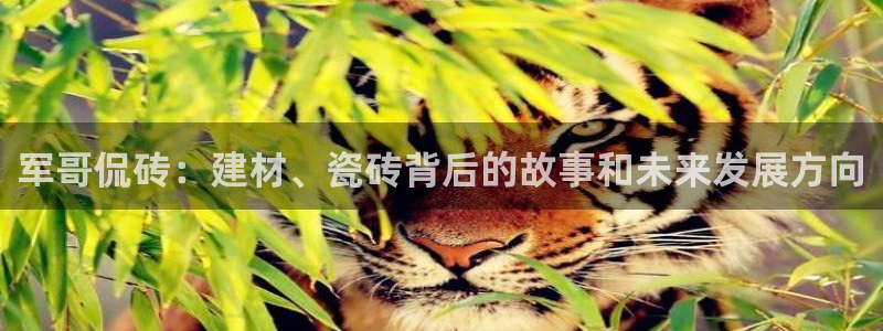杏鑫平台直属哪个公司