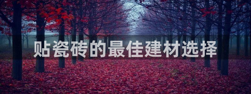 杏鑫官方平台怎么样啊知乎