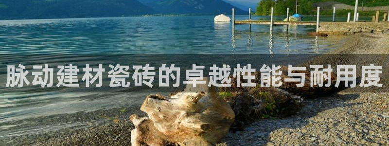 杏鑫平台怎么样黑钱吗是真的吗知乎