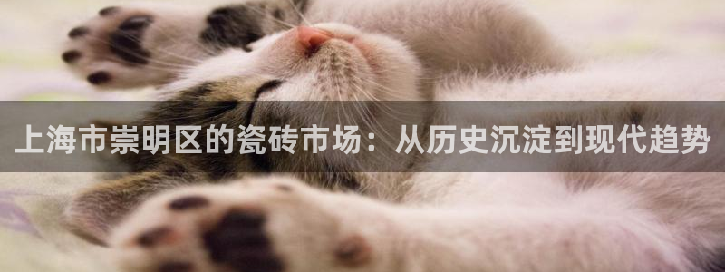 杏鑫平台招商电话是多少