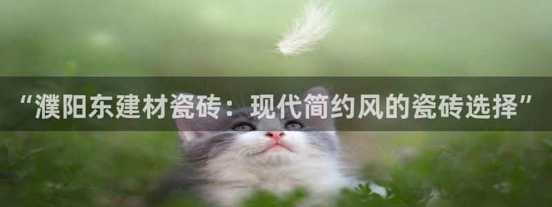 杏鑫官网注册账号密码是多少