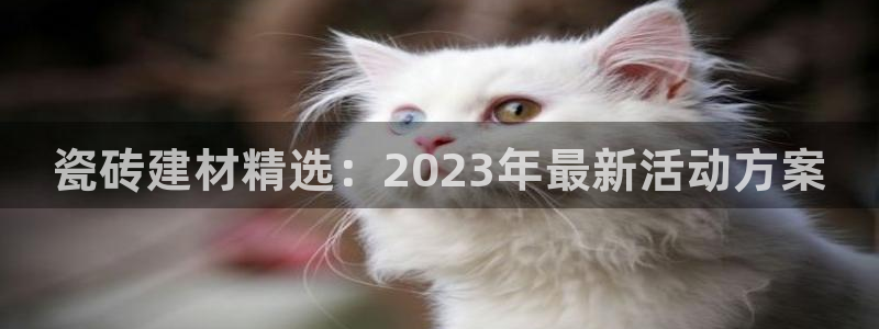 杏鑫平台平台娱乐