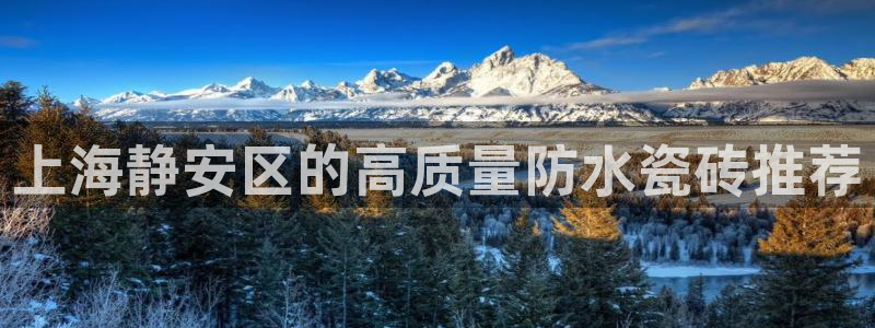 杏鑫官网注册账号密码是多少