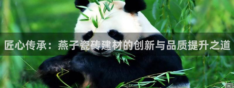 杏鑫平台测速怎么样