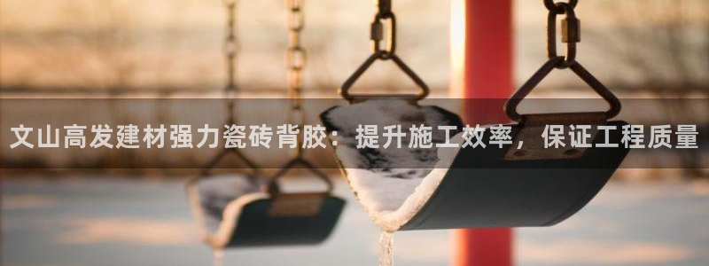 杏鑫主管
