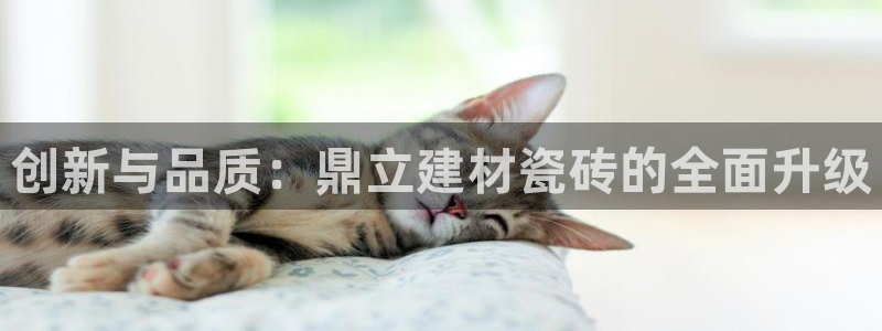杏鑫平台广7O777